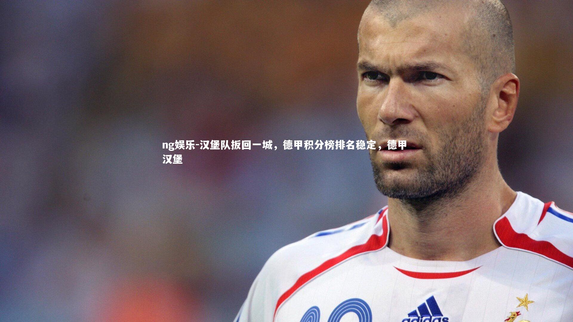 汉堡队扳回一城,德甲积分榜排名稳定,德甲 汉堡