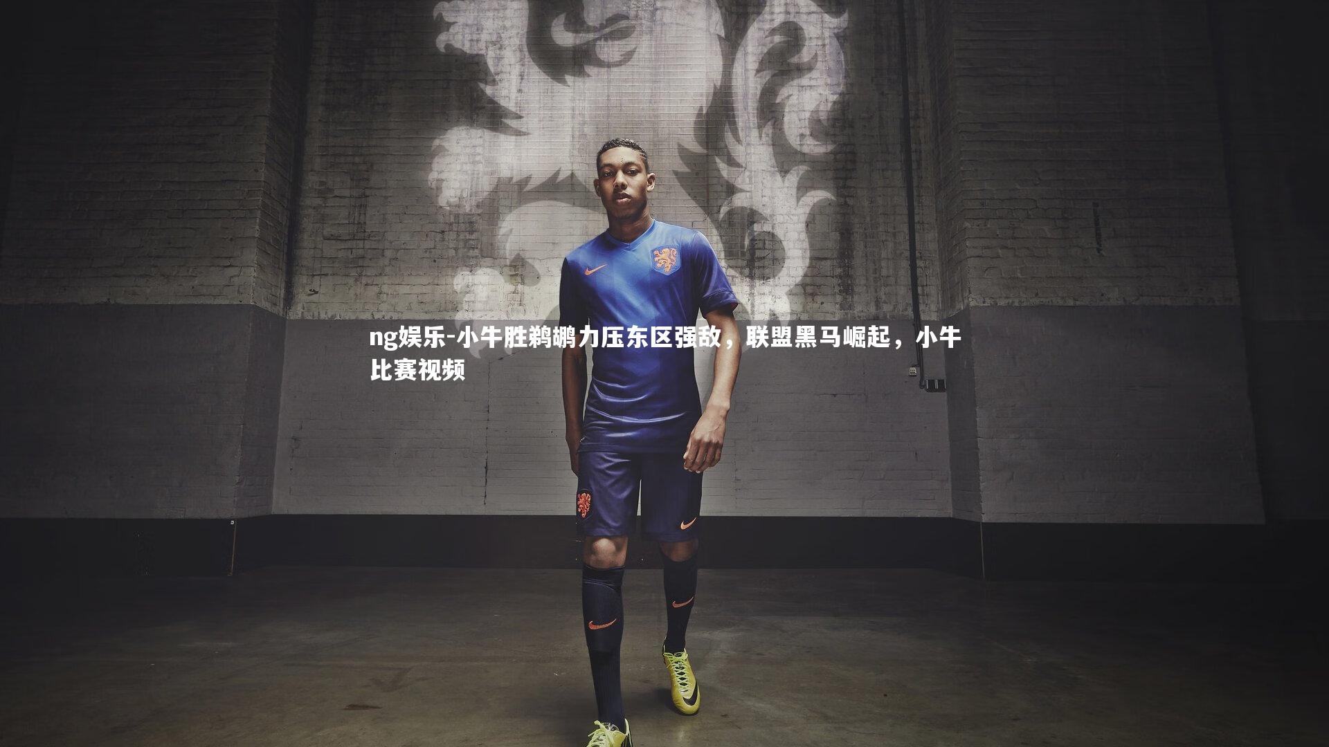 ng娱乐-小牛胜鹈鹕力压东区强敌，联盟黑马崛起，小牛比赛视频